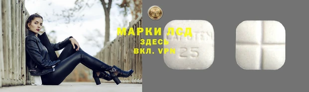 твердый Алексин