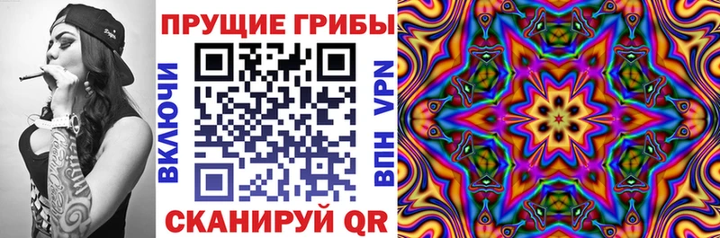 Купить закладки  Вилючинск  Псилоцибиновые грибы Magic Shrooms 